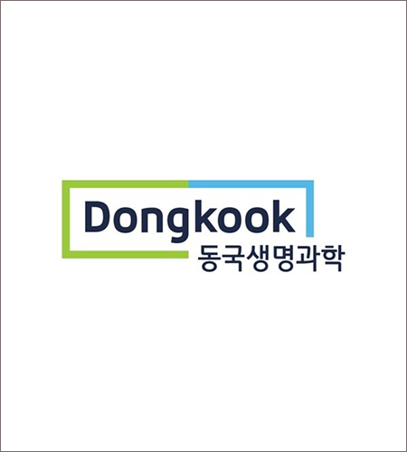 뉴스